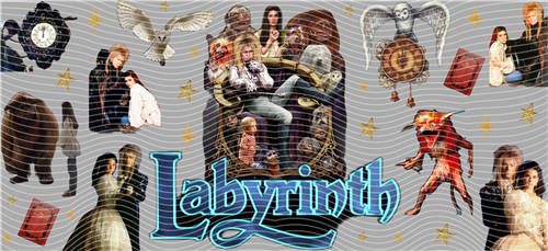 16oz Latest Bestseller-C 6600